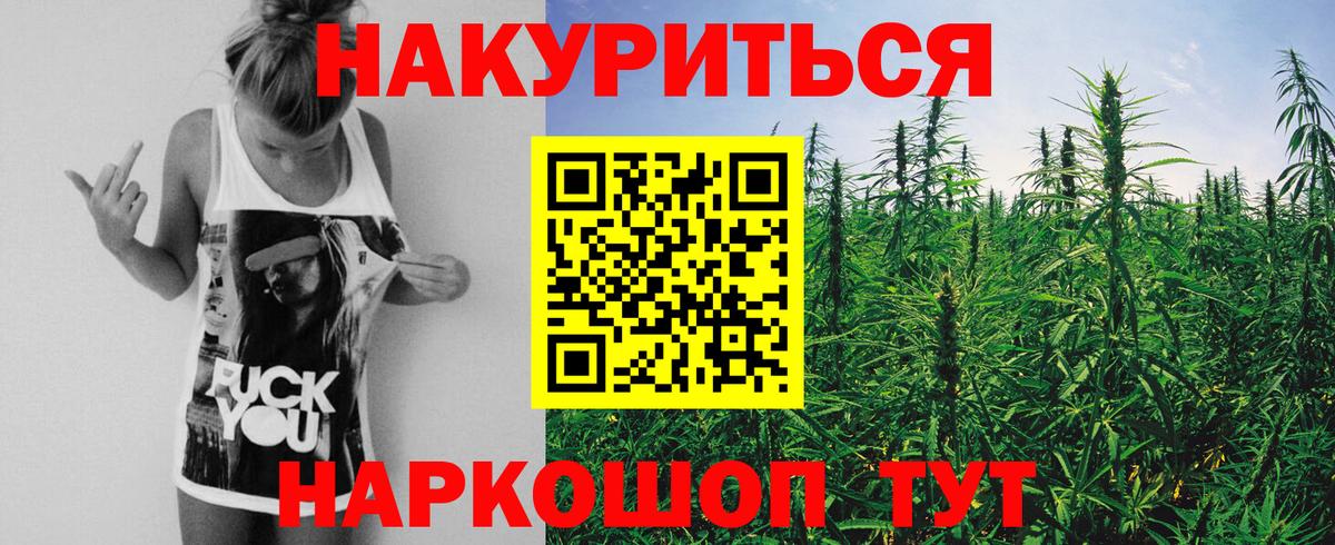 МАРИХУАНА конопля Саров